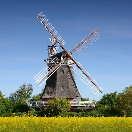 Appartamento Haus Stoertebecker Wyk auf Föhr Esterno foto