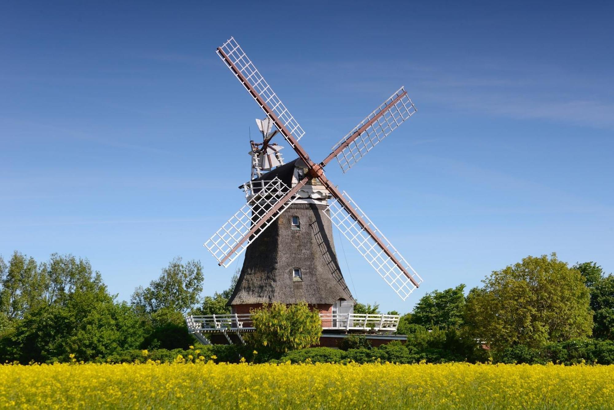 Appartamento Haus Stoertebecker Wyk auf Föhr Esterno foto